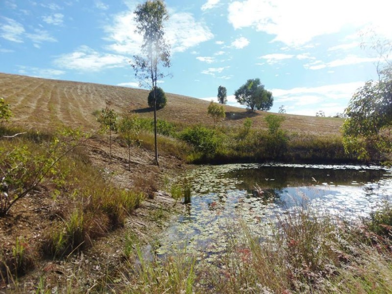Lot 22 Forest Ridge Drive, Tamaree QLD 4570