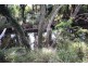 396 Power Road, Widgee QLD 4570