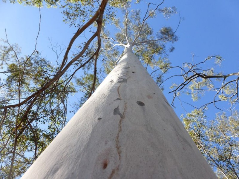 Widgee QLD 4570