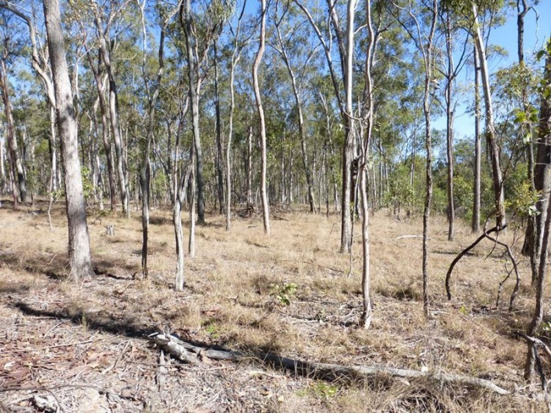Widgee QLD 4570