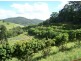 Cedar Pocket QLD 4570