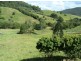 Cedar Pocket QLD 4570