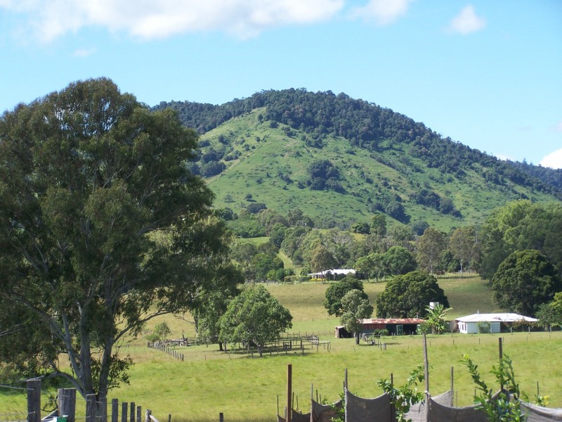Mothar Mountain QLD 4570