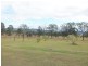 456 Abel Road, Lower Wonga QLD 4570