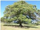 Neusa Vale QLD 4570