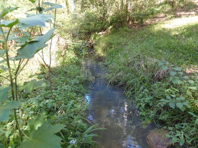 Neusa Vale QLD 4570