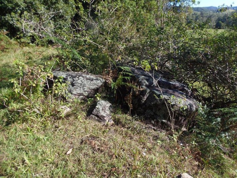 Neusa Vale QLD 4570