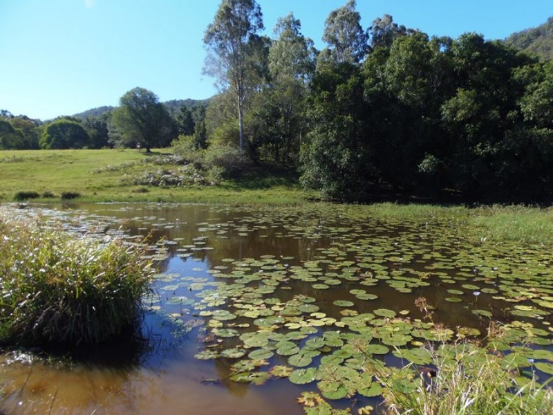 Neusa Vale QLD 4570