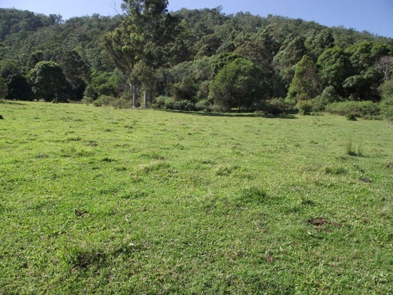Neusa Vale QLD 4570