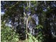 Neusa Vale QLD 4570