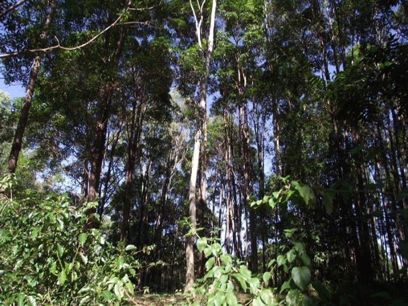 Neusa Vale QLD 4570