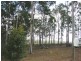 Bauple QLD 4650