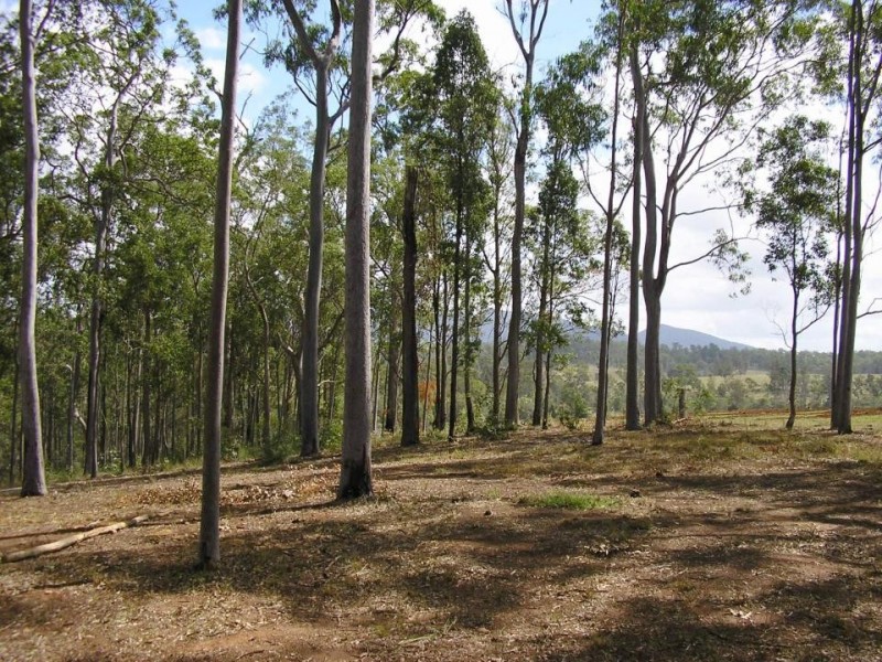 Bauple QLD 4650