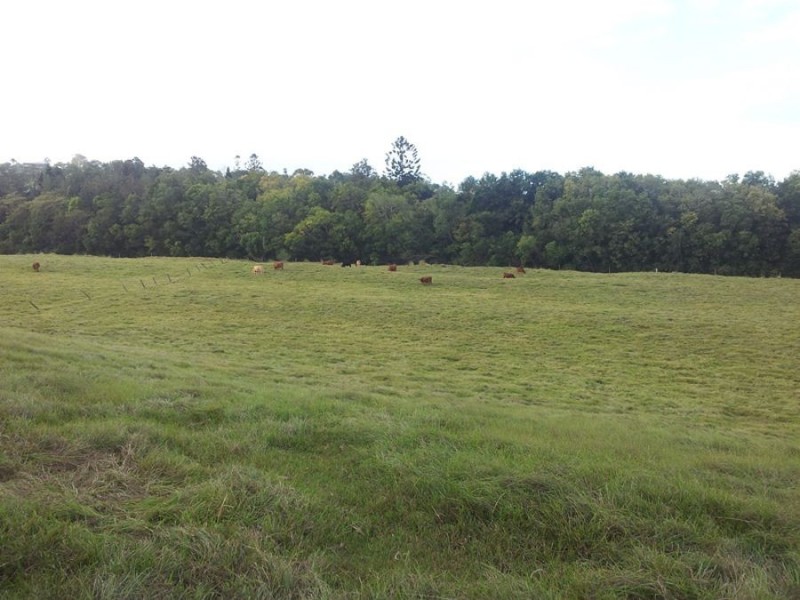 Southside QLD 4570