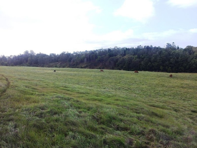 Southside QLD 4570