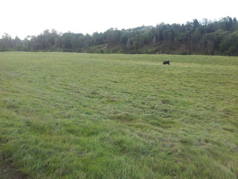 Southside QLD 4570