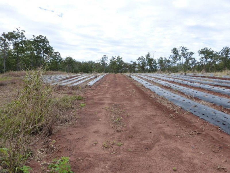 Neerdie QLD 4570