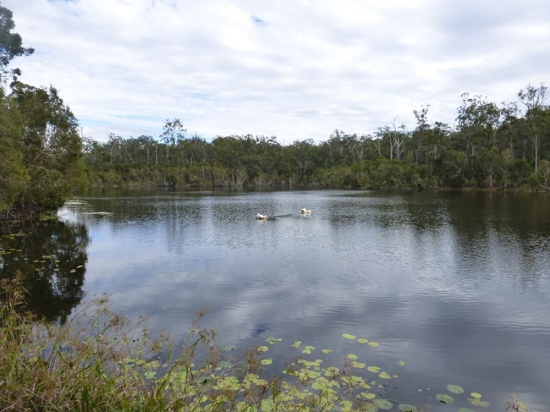 Neerdie QLD 4570