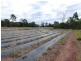 Neerdie QLD 4570