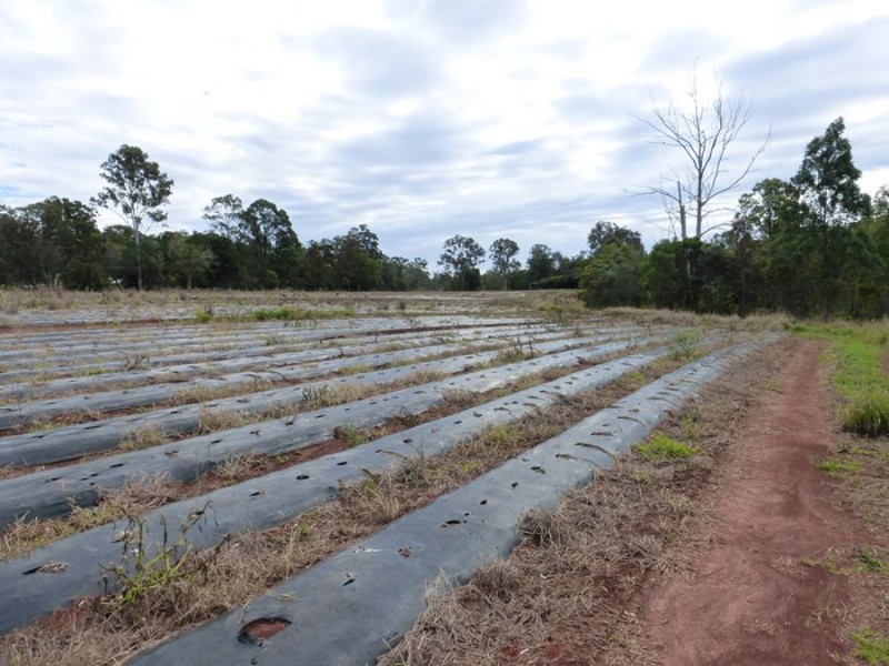 Neerdie QLD 4570