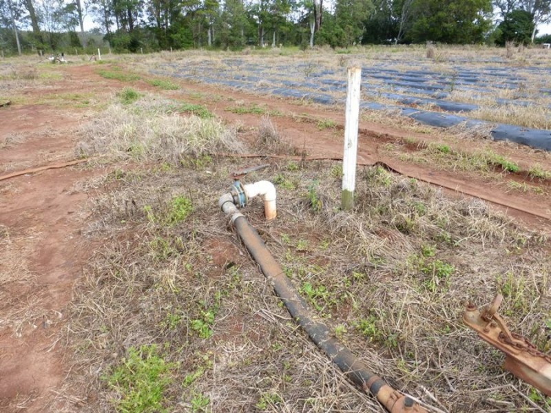 Neerdie QLD 4570