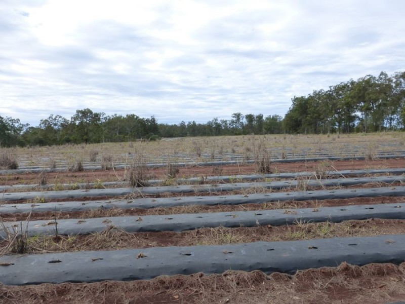 Neerdie QLD 4570