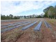 Neerdie QLD 4570
