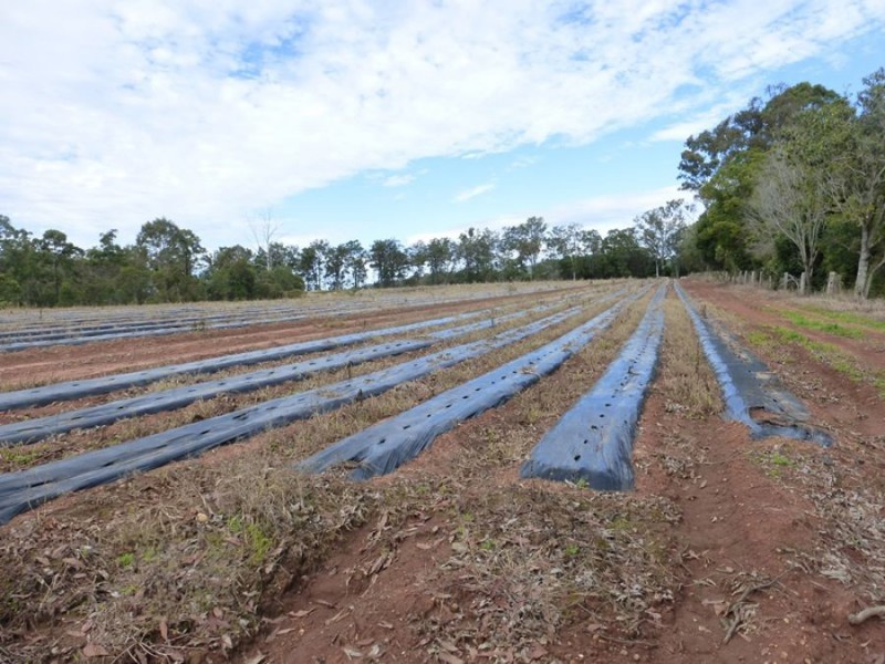 Neerdie QLD 4570
