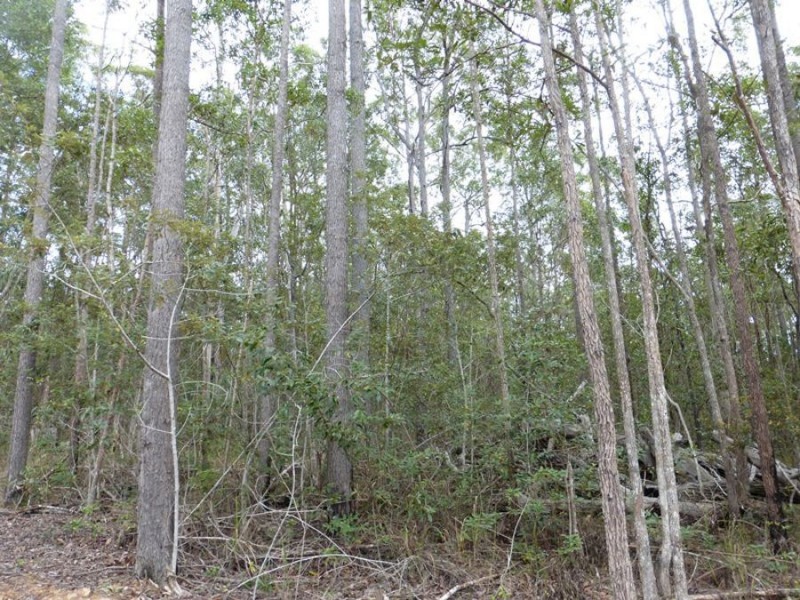 Neerdie QLD 4570