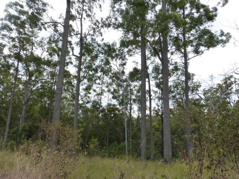 Neerdie QLD 4570