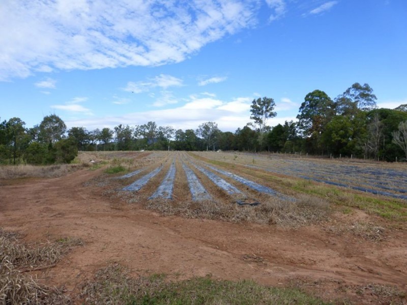 Neerdie QLD 4570