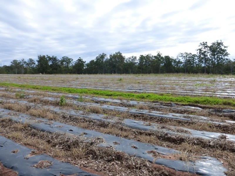 Neerdie QLD 4570