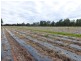 Neerdie QLD 4570