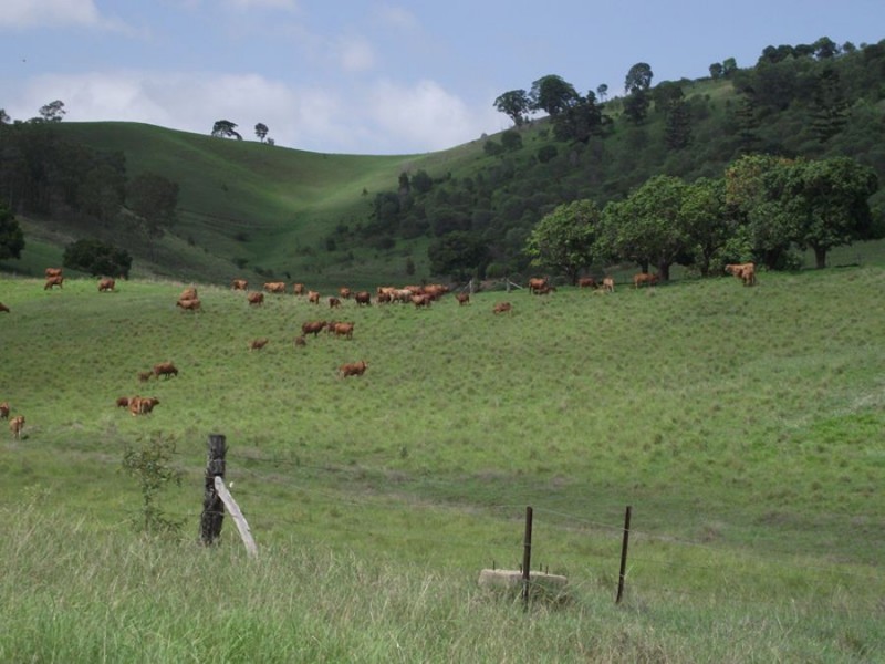 Glastonbury QLD 4570