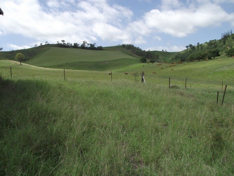 Glastonbury QLD 4570