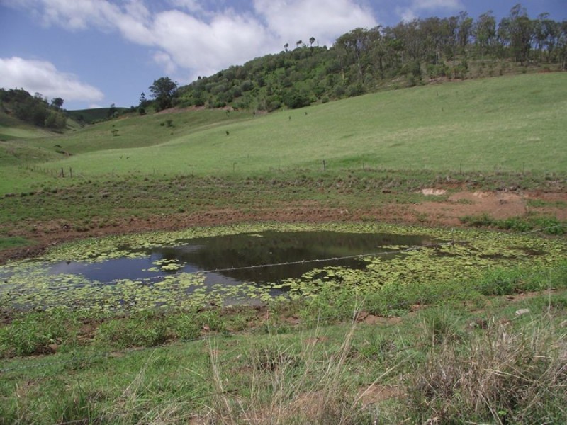 Glastonbury QLD 4570