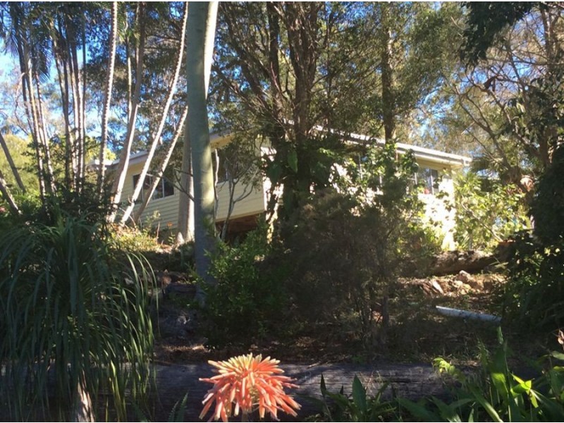 Wilsons Pocket QLD 4570