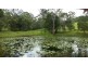 Wilsons Pocket QLD 4570