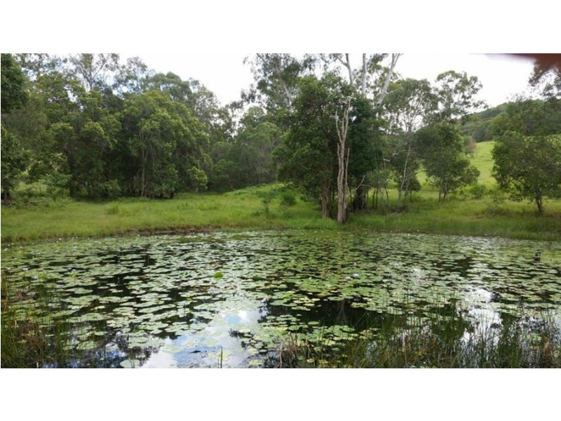 Wilsons Pocket QLD 4570