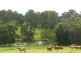 Wilsons Pocket QLD 4570