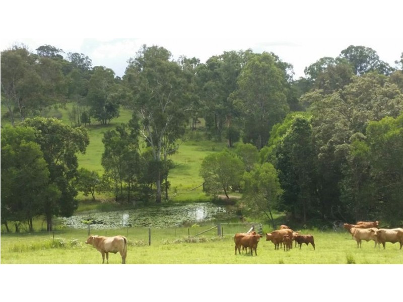 Wilsons Pocket QLD 4570