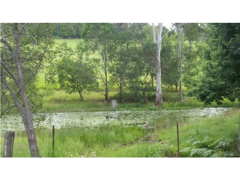 Wilsons Pocket QLD 4570