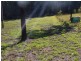 Lot 677 Arbortwentyseven Road, Glenwood QLD 4570
