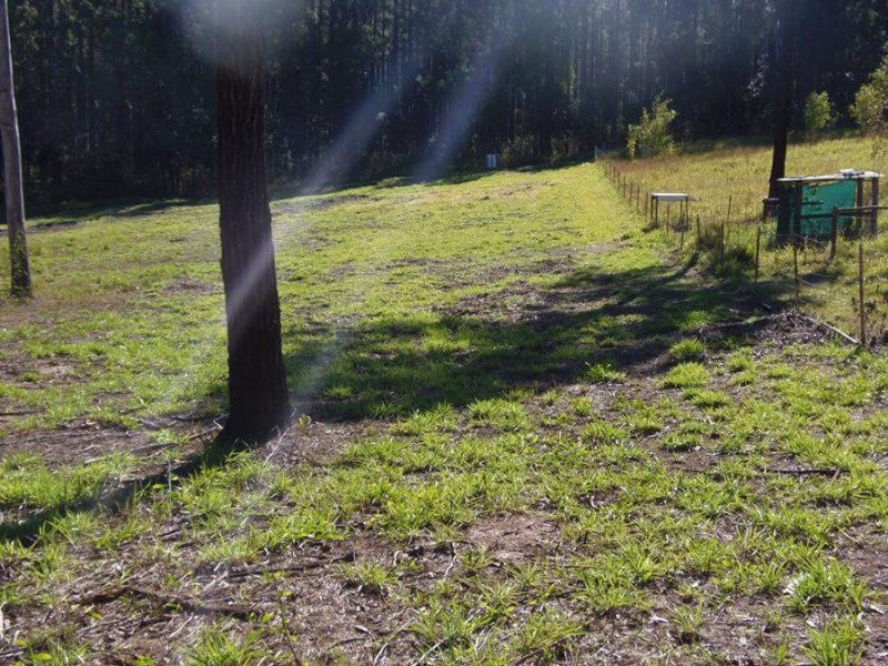 Lot 677 Arbortwentyseven Road, Glenwood QLD 4570