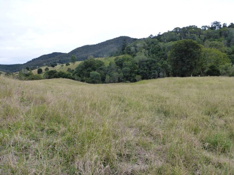 Upper Glastonbury QLD 4570