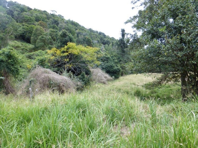 Upper Glastonbury QLD 4570