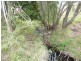 Upper Glastonbury QLD 4570