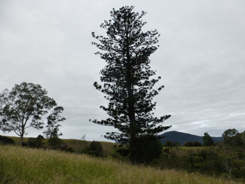 Upper Glastonbury QLD 4570