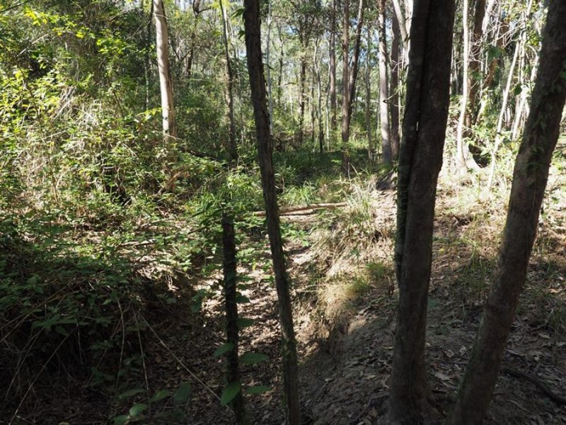 23 Minya Road, The Palms QLD 4570