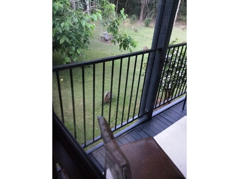 23 Minya Road, The Palms QLD 4570
